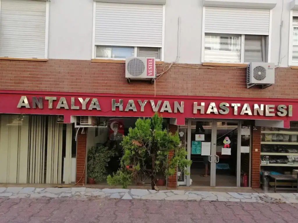 antalya hayvan hastanesi e3fc7ea4