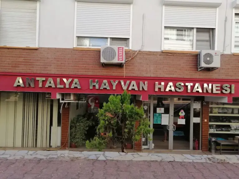 Antalya Hayvan Hastanesi