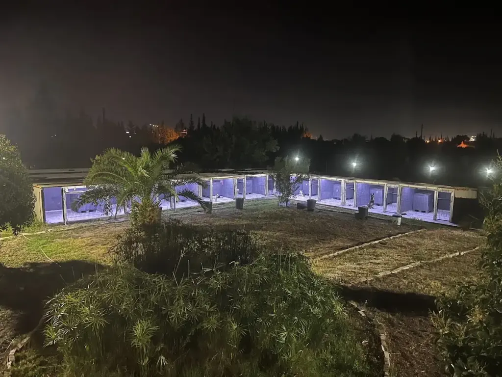 antalya kopek oteli 79b302d1