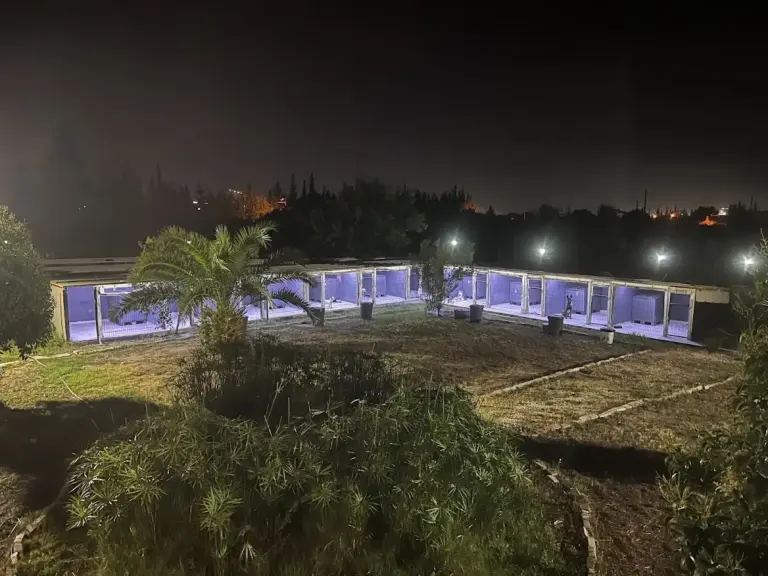 antalya kopek oteli 79b302d1
