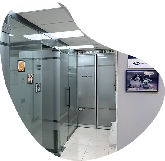 Antalya Merkez Veteriner Kliniği