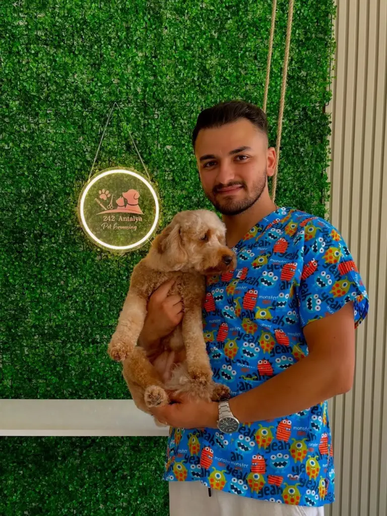 antalya pet kuafor 242 413b5b70