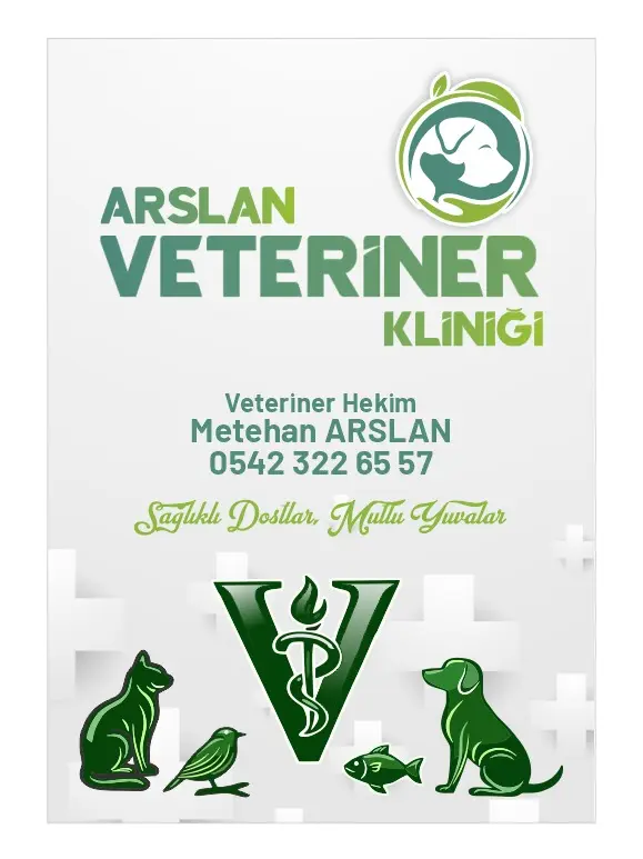 arslan veteriner klinigi 030ce874