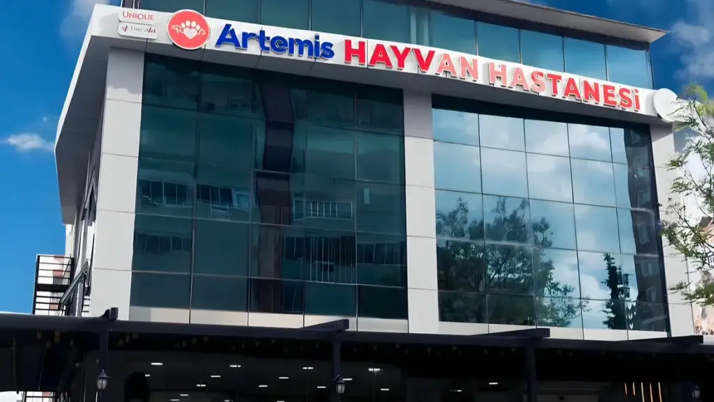 artemis hayvan hastanesi 251de7fb