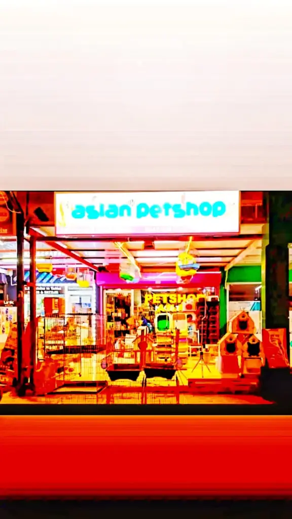 aslan petshop ec1e89d6