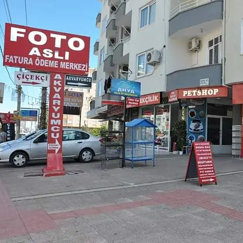 asli petshop mezitli babil 862b008a