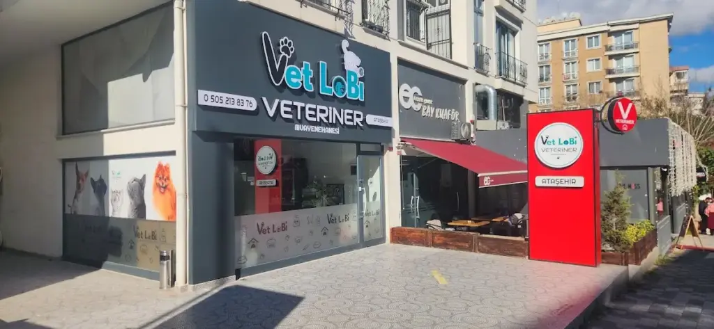 atasehir 7 24 acil veteriner vet lobi veteriner klinigi b37d15e7