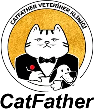 atasehir catfather veteriner klinigi kedi ve kopek pansiyonu profile YQJtEP