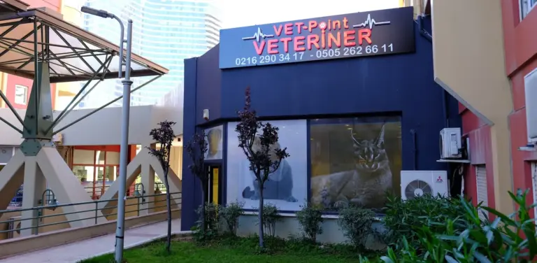 atasehir vet point veteriner klinigi profile 4xtUP0