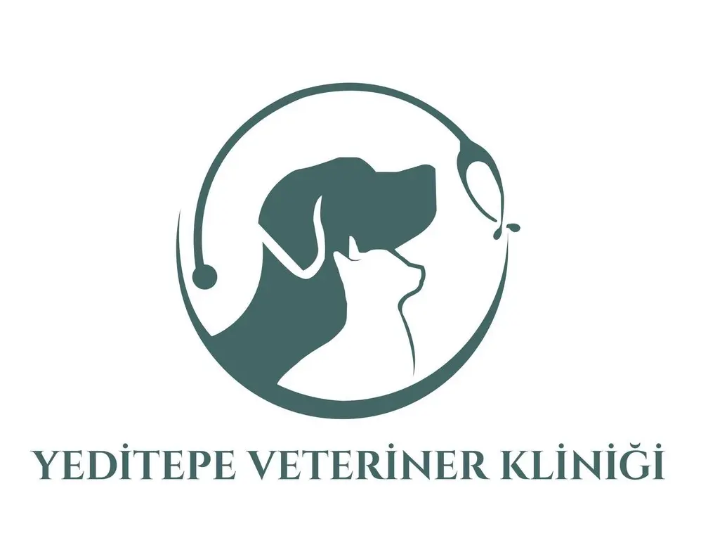 atasehir yeditepe veteriner klinigi trendist atasehir profile 0NBlHT
