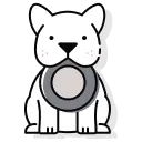 BAC Team Köpek Eğitim Merkezi