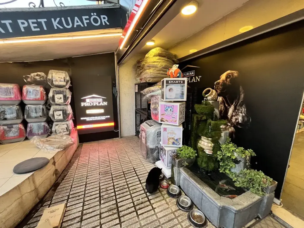 bagdat evcil hayvan magazasi petshop pet kuafor d1e969cd