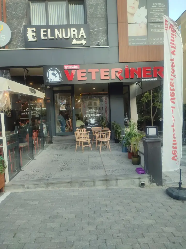 bahcelievler vethospital veteriner klinigi 7 24 acil veteriner bahcelievler 868937f4