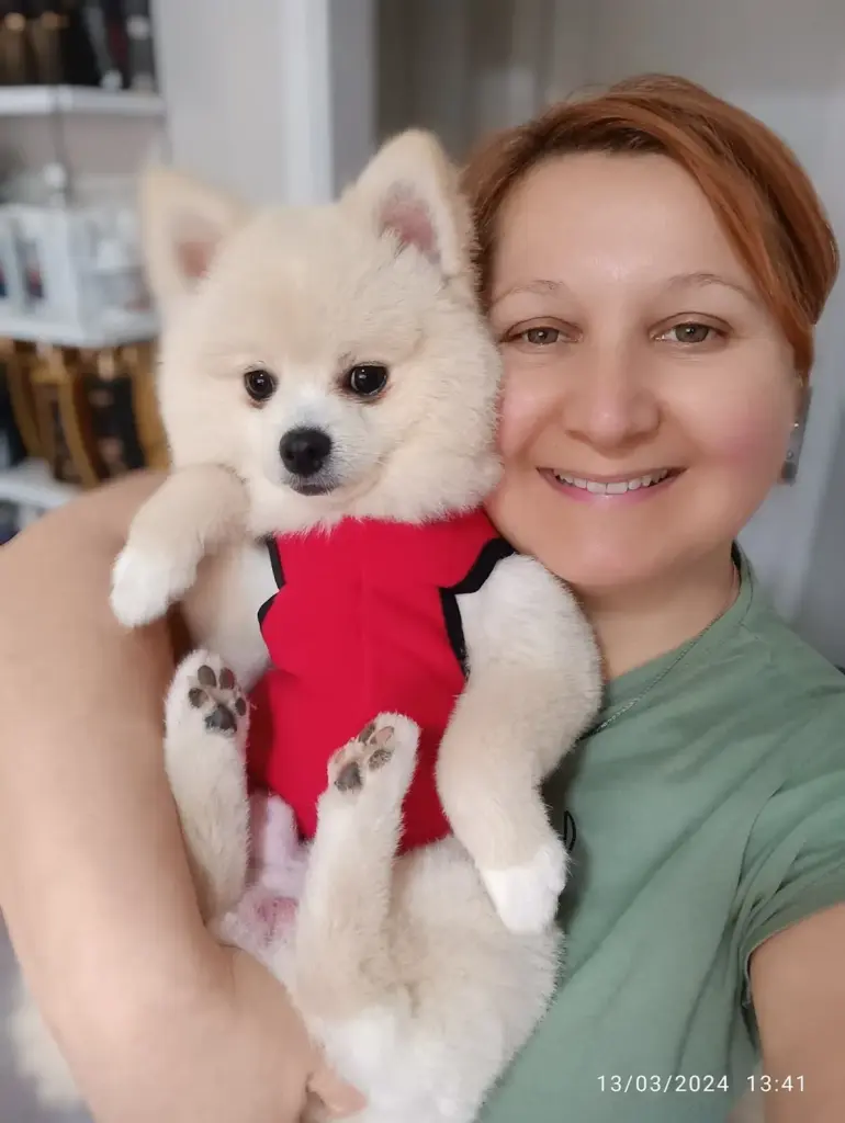 bakirkoy kayra pet kuafor pet shop c40891bc