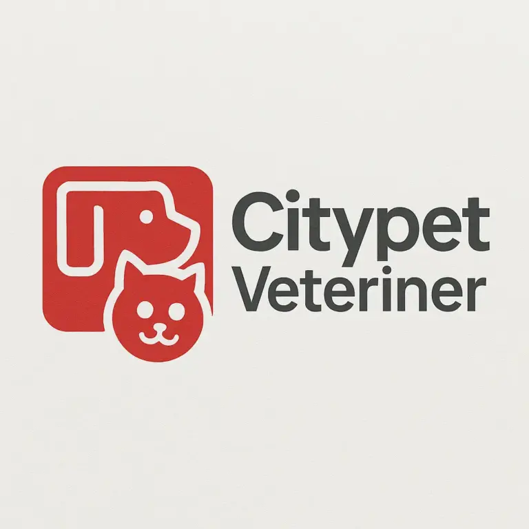 bakirkoy veteriner citypet veteriner klinigi profile yPemaP