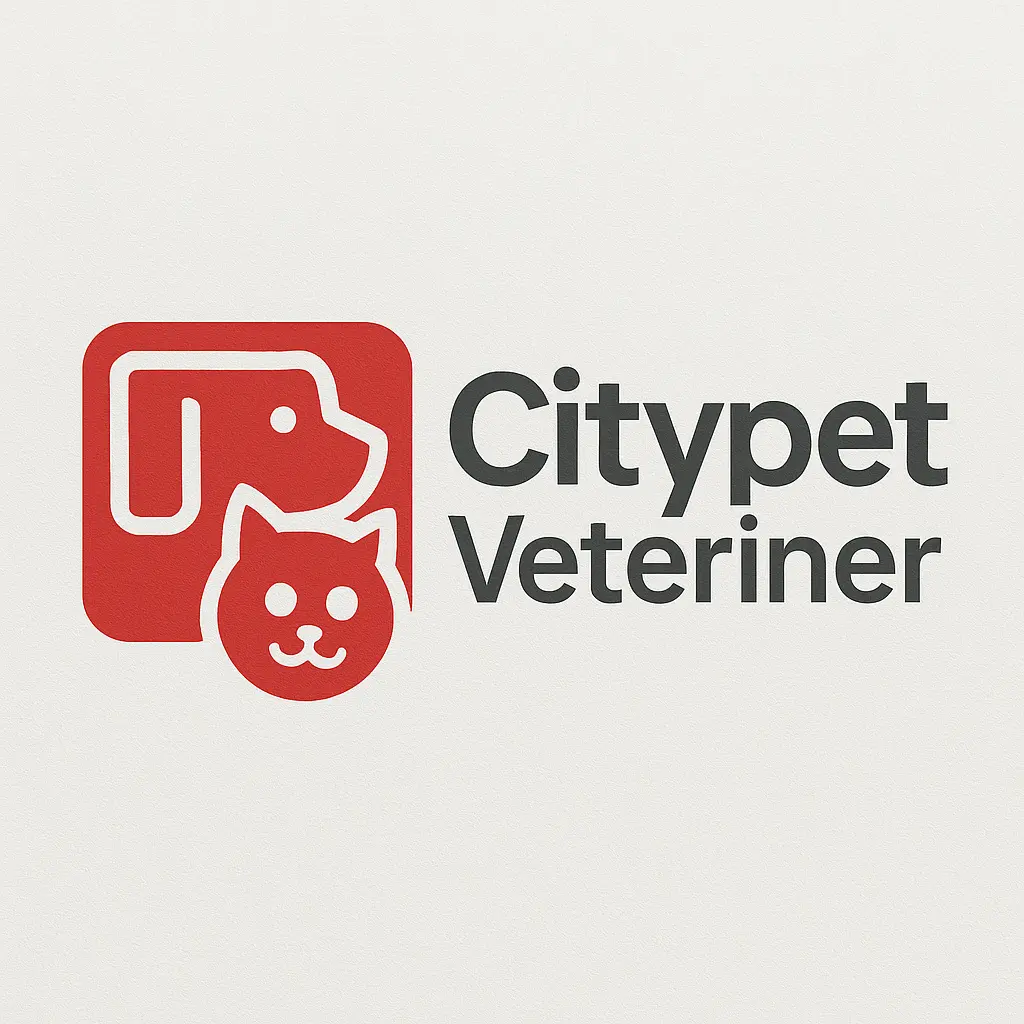 bakirkoy veteriner citypet veteriner klinigi profile yPemaP