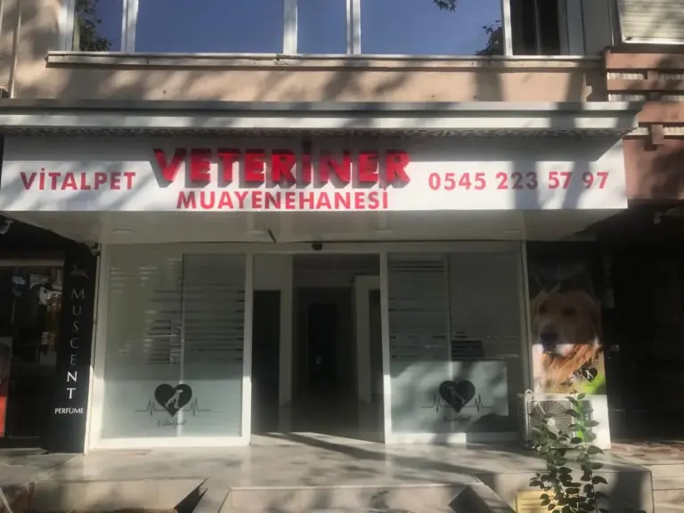 bakirkoy veteriner vitalpet veteriner klinigi 43fecd5d