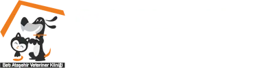 bati atasehir veteriner klinigi profile dG4KMO