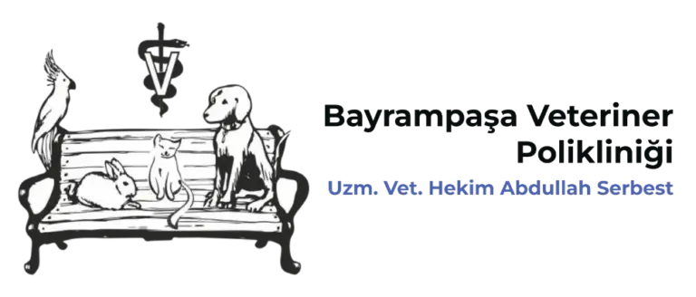 bayrampasa buyuk 7 24 acil veteriner bayrampasa veteriner poliklinigi profile hsaiXE