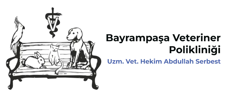 bayrampasa buyuk 7 24 acil veteriner bayrampasa veteriner poliklinigi profile hsaiXE