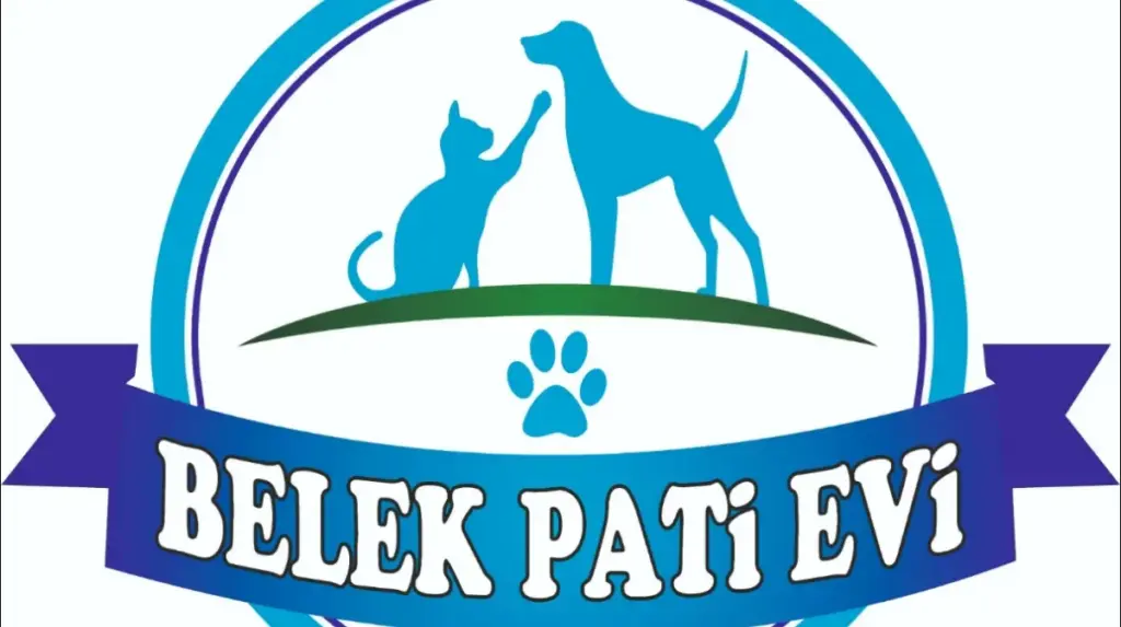 belek pati evi kopek ve kediantalya kopek oteli dog hotel hunde hotel e9848424