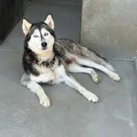 bella yuva ariyor 1201425 2
