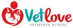 besiktas vetlove veteriner klinigi profile cR4ZgV