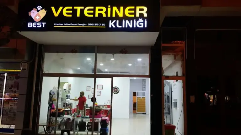Best Veteriner Kliniği