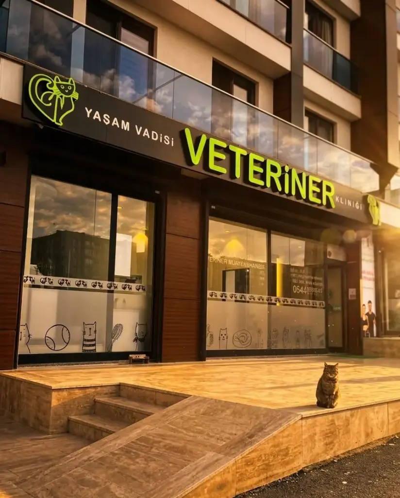 beylikduzu 7 24 yasam vadisi veteriner klinigi afa6178a