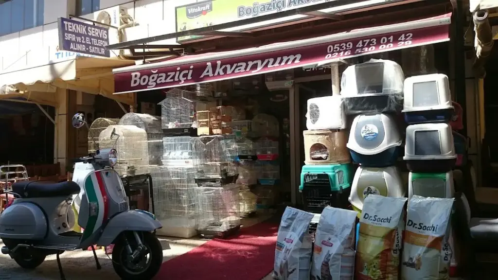 bogazici akvaryum pet shop e0823cba