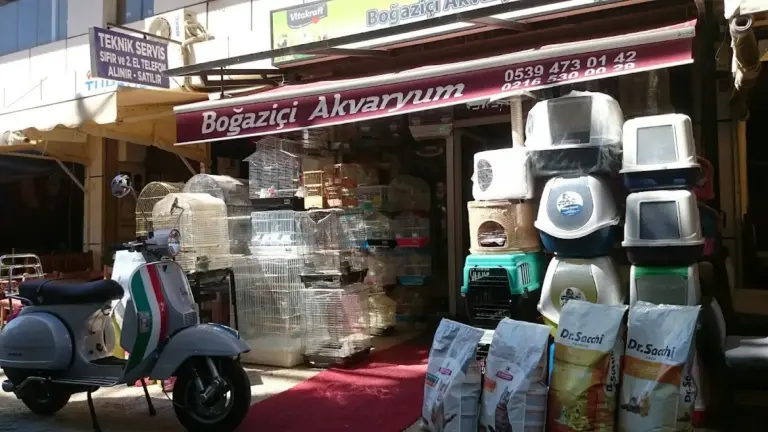 bogazici akvaryum pet shop e0823cba