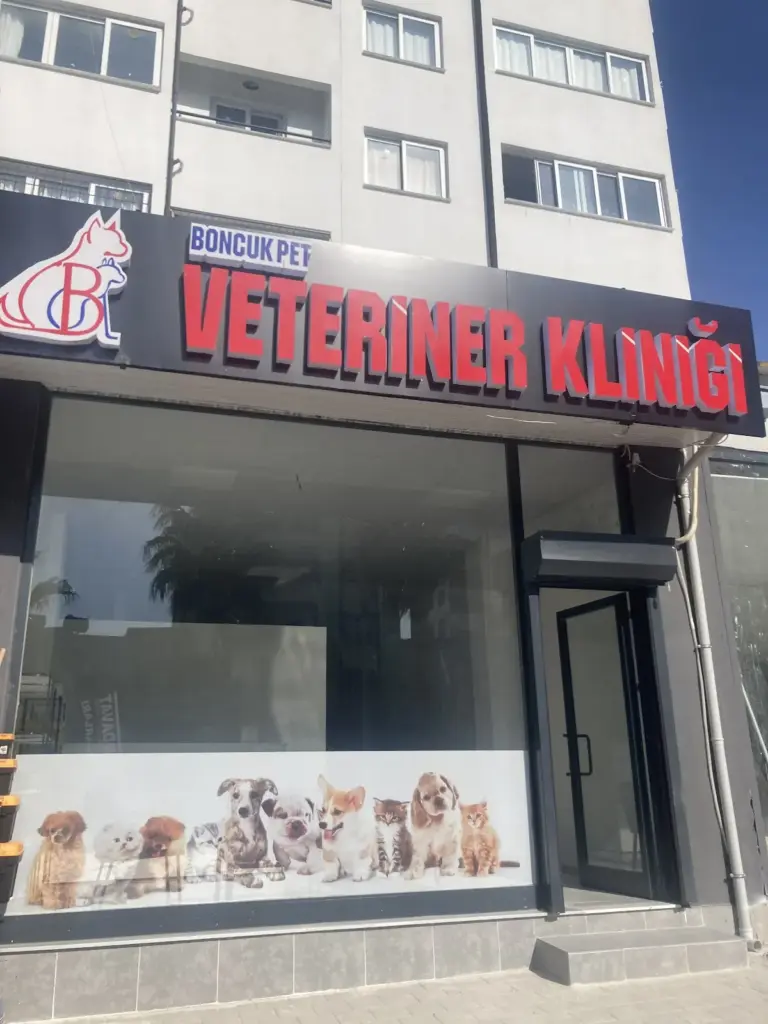 boncuk pet veteriner klinigi 26473644