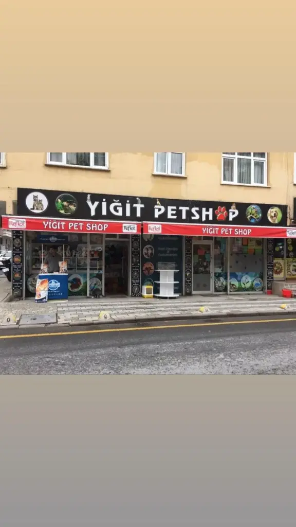 bulgurlu yigit pet shop pet kuafor b07aac1c