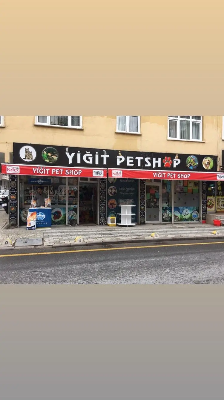 bulgurlu yigit pet shop pet kuafor b07aac1c