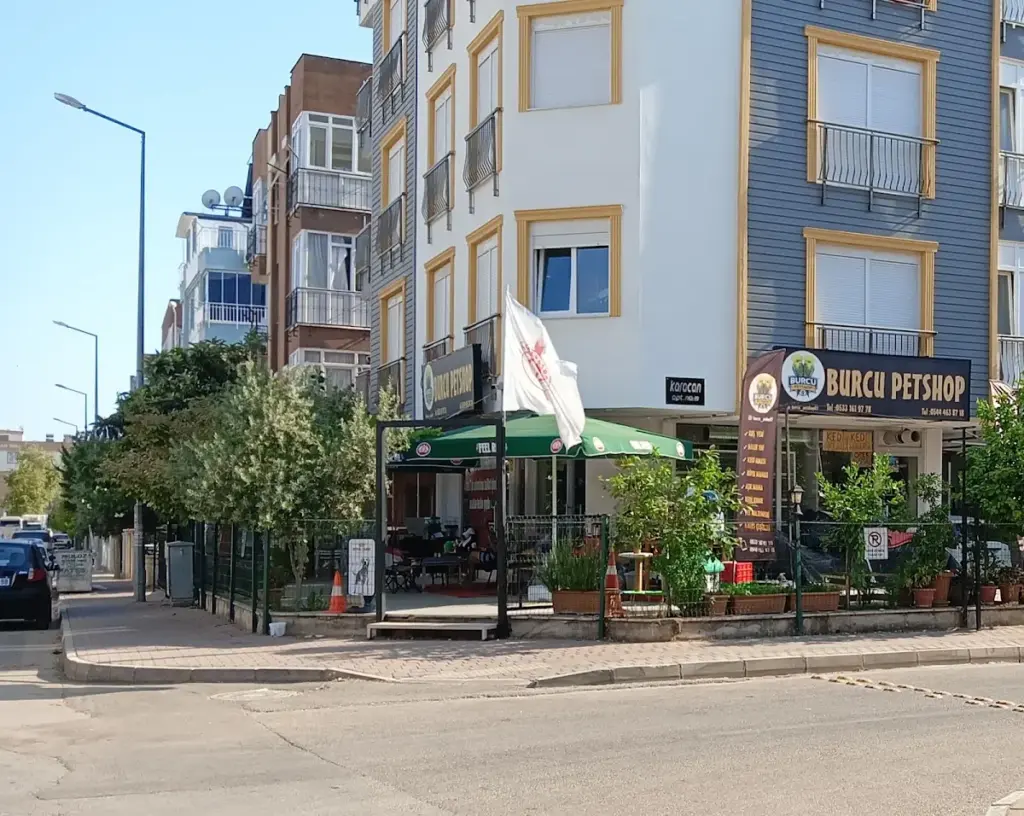 burcu petshop 48e981ae