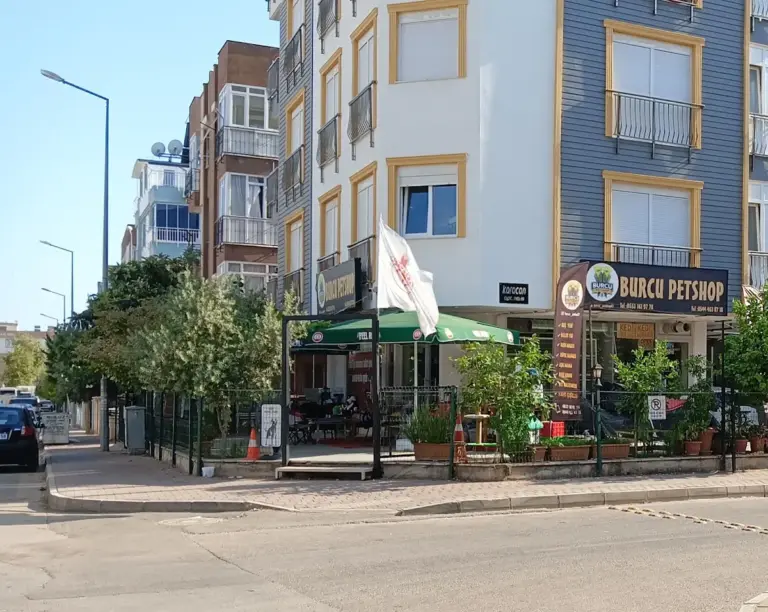 burcu petshop 48e981ae