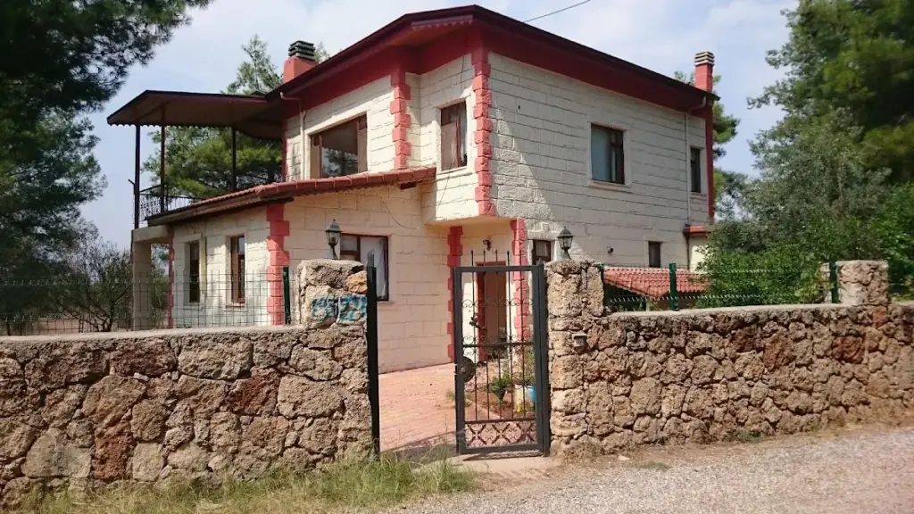 bursa kopek ciftligi 40aa89ab