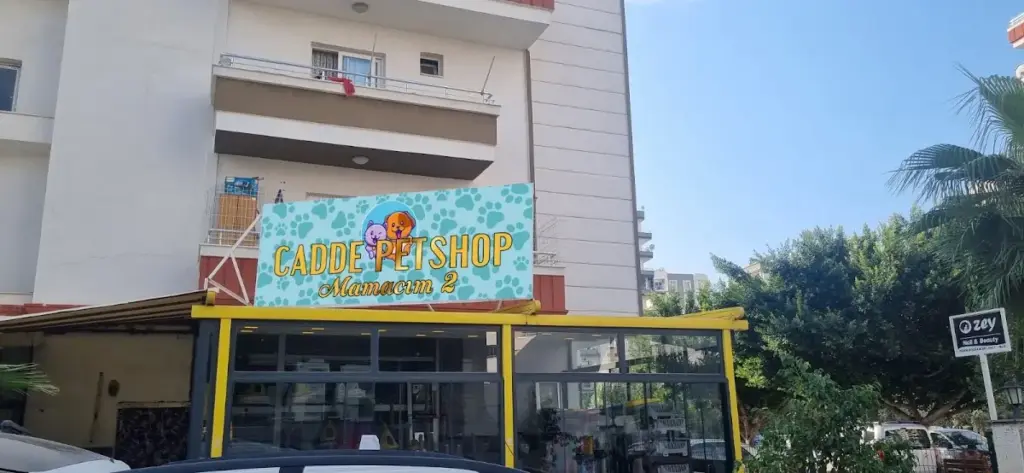 cadde pet kuafor be00d053