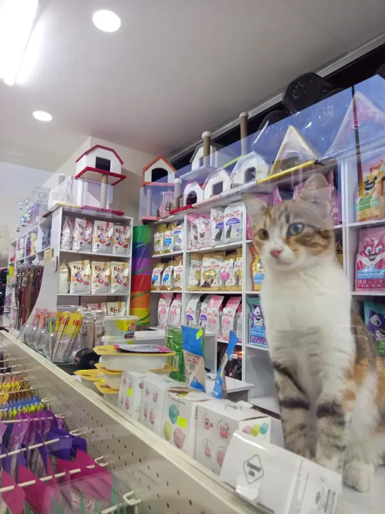 can dostlar pet shop b02eb4e9