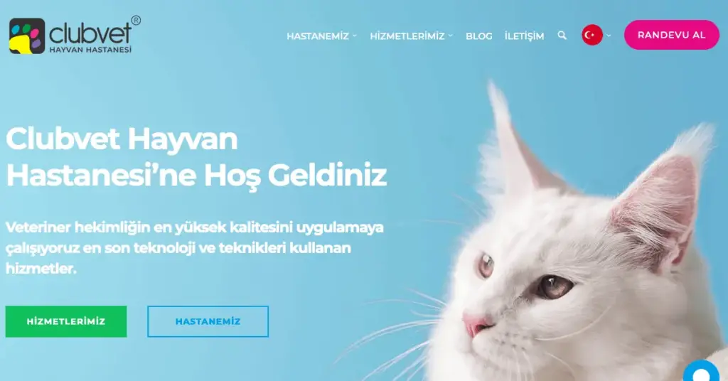 clubvet hayvan hastanesi profile C1Pmgq