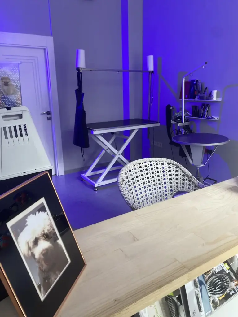 coco pet kuaforspa pet kuafor egitim merkezi e2e81ff7