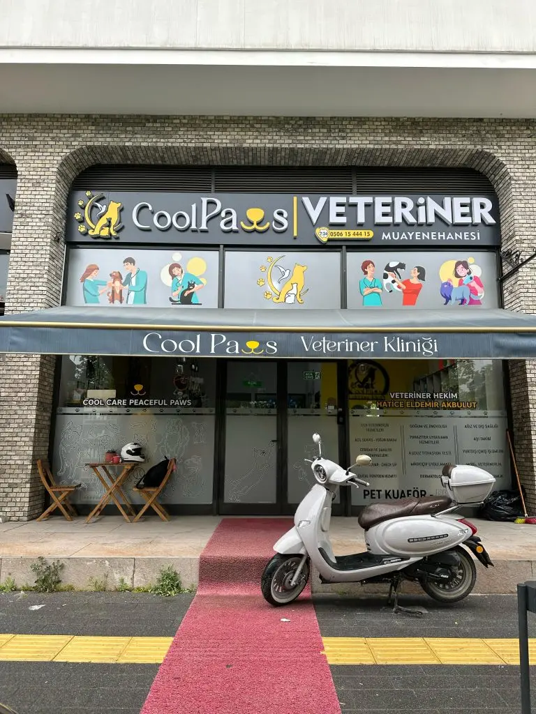 cool paws veteriner klinigi 7 24 acil nobetci veteriner beylikduzu profile pIPjJu