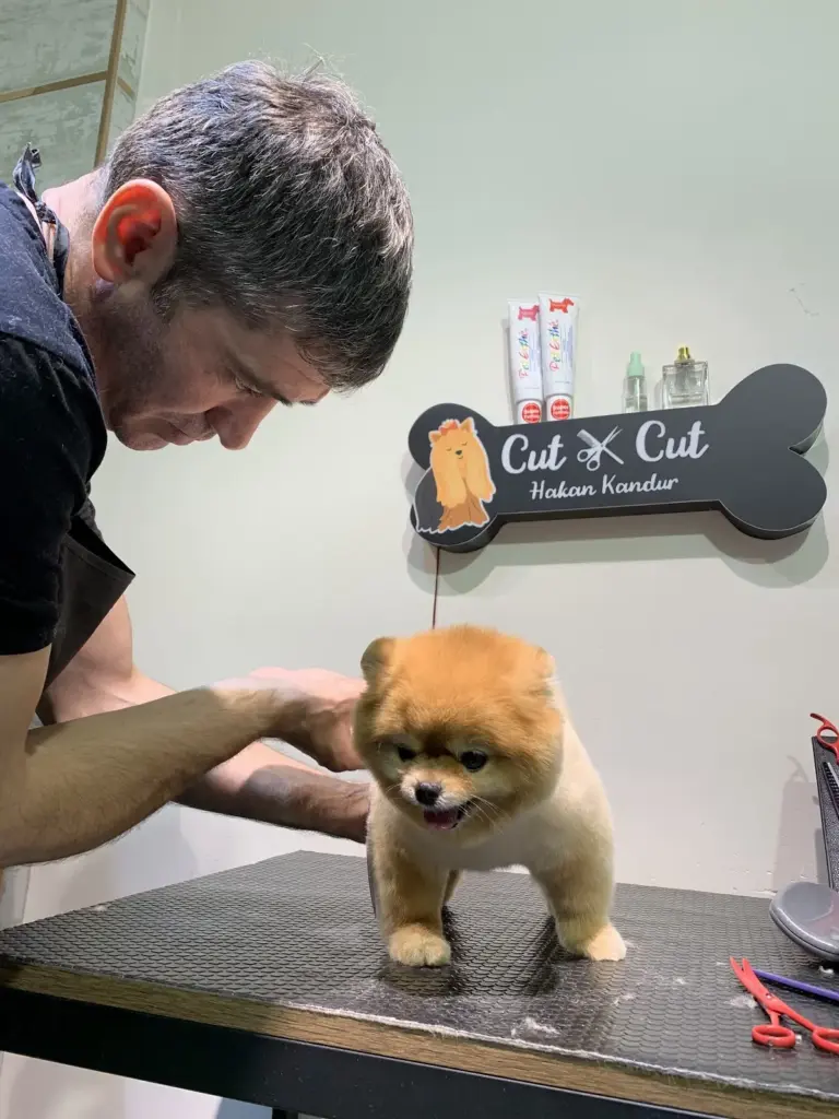 cut cut pet kuaforushop d96066c7