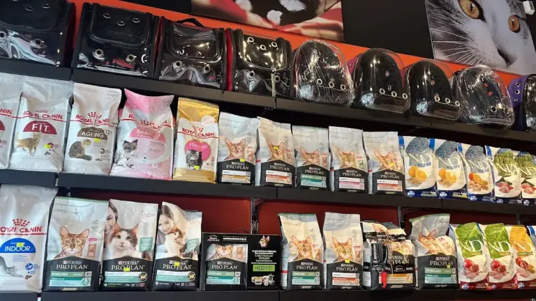 cute animals petshop 0108ab47