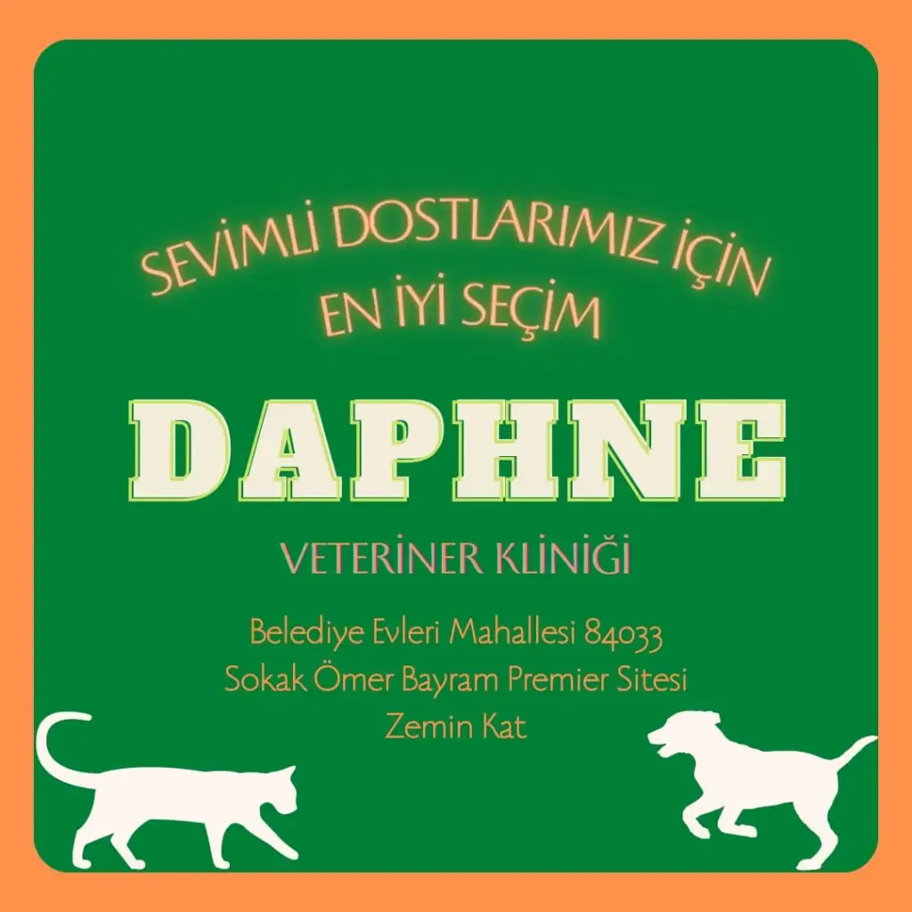 daphne veteriner klinigi 36557651