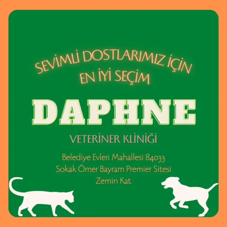 daphne veteriner klinigi 36557651