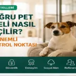 Doğru pet oteli seçerken hijyen güvenlik deneyim ve sosyal alan kontrolü