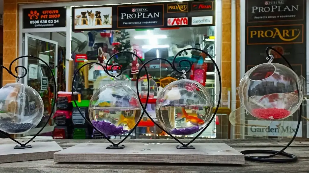 eftelya petshop df5b91d4