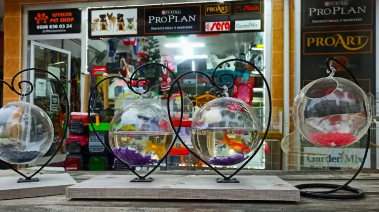 eftelya petshop df5b91d4