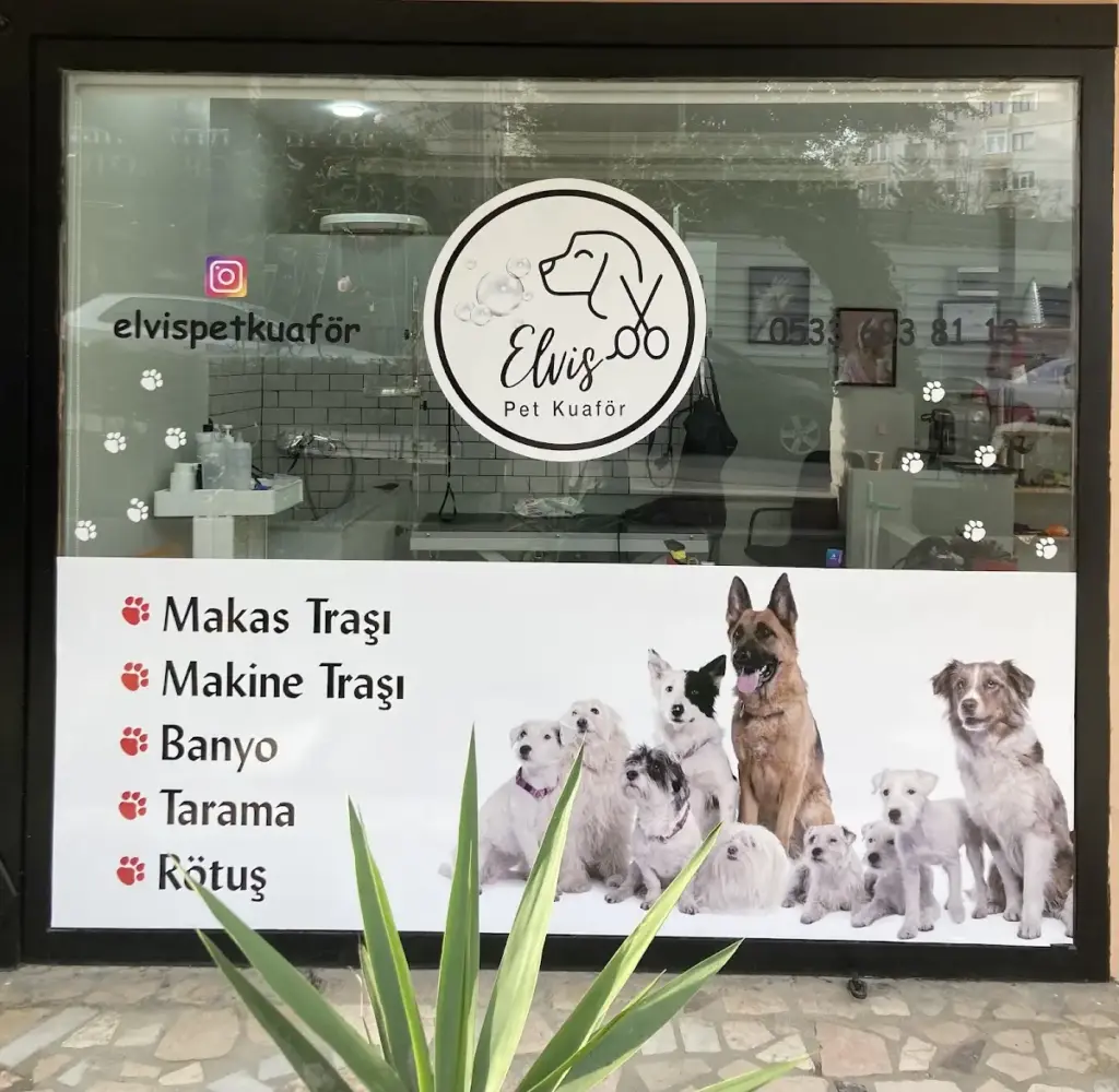elvis pet kuafor kadikoy 47358a2c